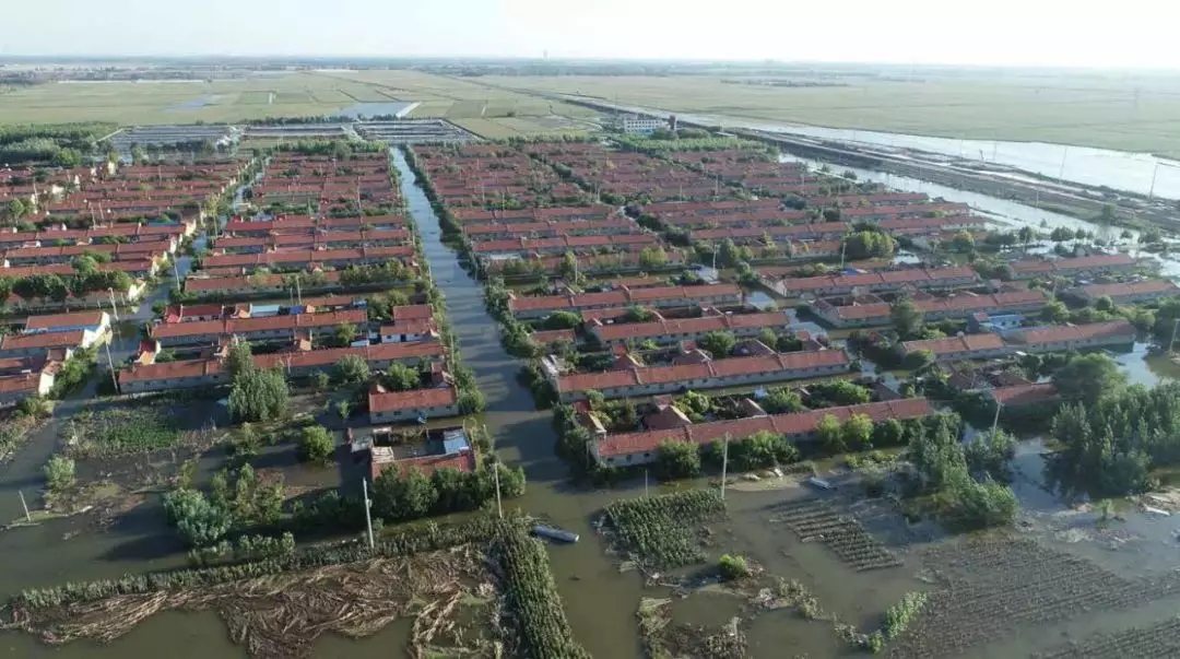 2018 年 8 月，受台风“温比亚”影响，山东寿光市多地连降暴雨，受其影响，水库入库流量远超出库流量，造成寿光沿岸多个村庄遭遇河水倒灌，大量民居、农田、养殖场损失惨重。.webp.jpg