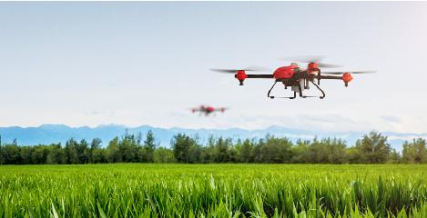 新疆小城“智慧农业”缩影：采棉工走了 飞手来了